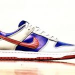 Nike Dunk Low Samba CZ2667-400 2020 Release Date First Look