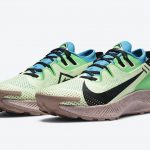 Nike Pegasus Trail 2 CK4305-700 Release Date