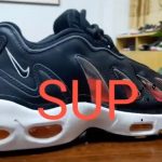 Supreme Nike Air Max 96 Release Date