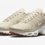 Nike Air Max Plus DZ2832-200 Release Date