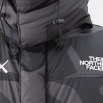 kaws x tnf