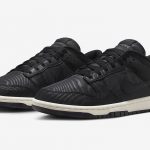 Nike Dunk Low Black Canvas Release Date DV7211-001